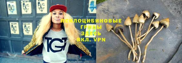 кокс Арсеньев