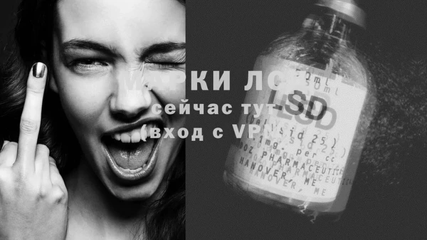 кокс Арсеньев