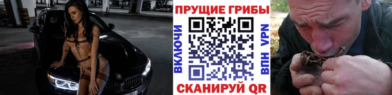 ОМГ ОМГ   Мелеуз  Псилоцибиновые грибы ЛСД  где можно купить  